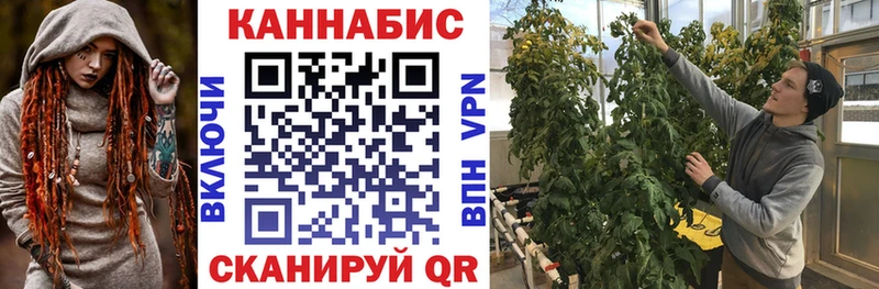 Купить Дятьково Конопля марихуана